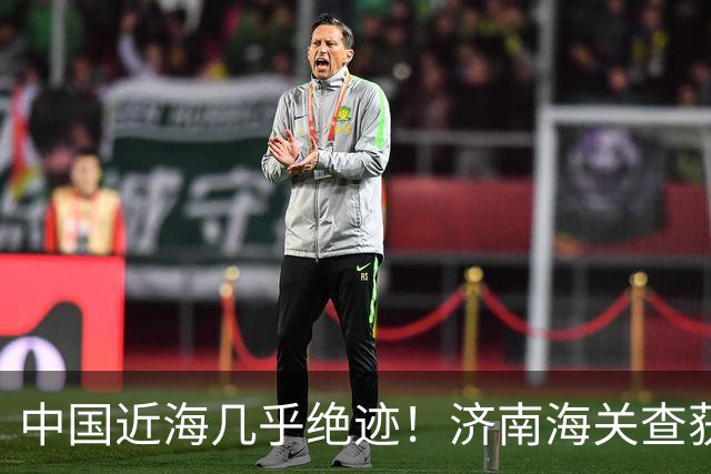 中国近海几乎绝迹！济南海关查获17只手镯，竟是由极危"国宝"制成