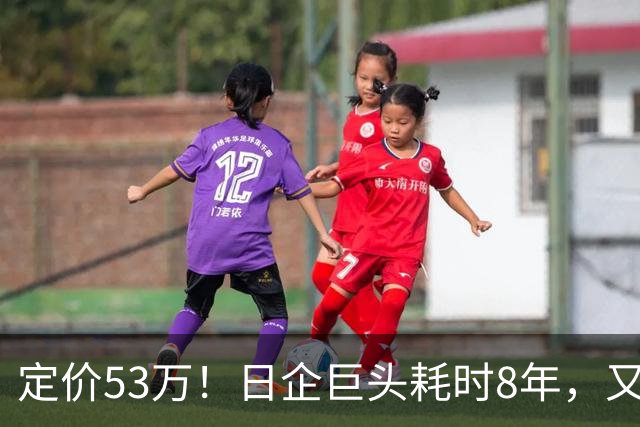 定价53万！日企巨头耗时8年，又一中产男人硬通货被指“割韭菜”