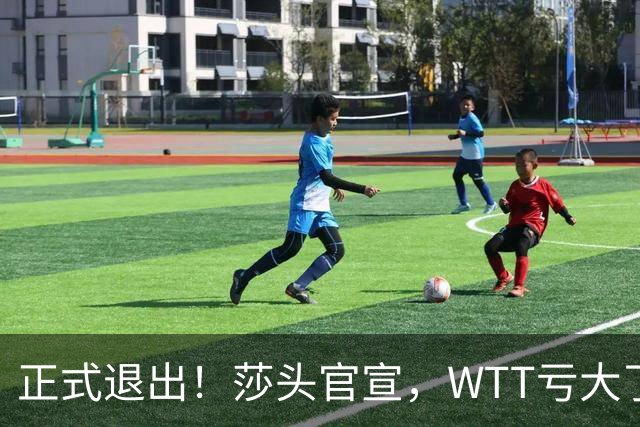 正式退出！莎头官宣，WTT亏大了，规则曝光，孙颖莎楚钦终于能歇了