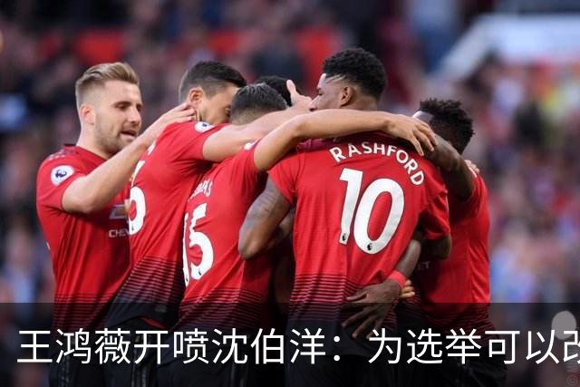 王鸿薇开喷沈伯洋：为选举可以改变自己的人设？确实厉害！