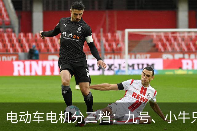 电动车电机分三档：九号、小牛只排第二档，第一档竟是这3个品牌