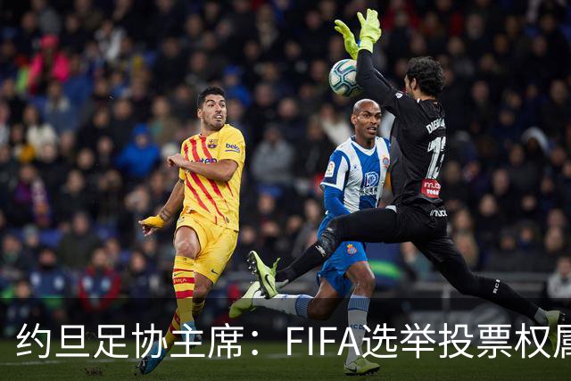 约旦足协主席：FIFA选举投票权属各协会，大洲足联主席无权置喙