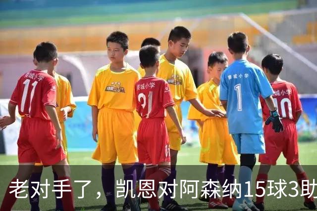 老对手了，凯恩对阿森纳15球3助攻，是参与进球第三多的对手