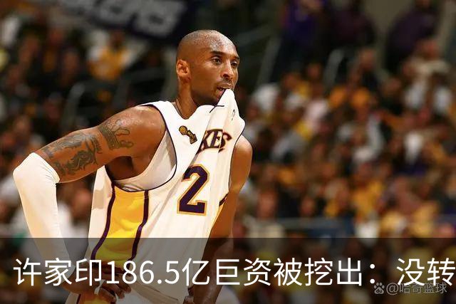 许家印186.5亿巨资被挖出：没转给丁玉梅，而是给了这位“老友”
