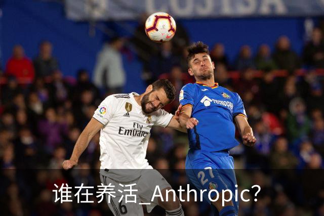 谁在养活 Anthropic？