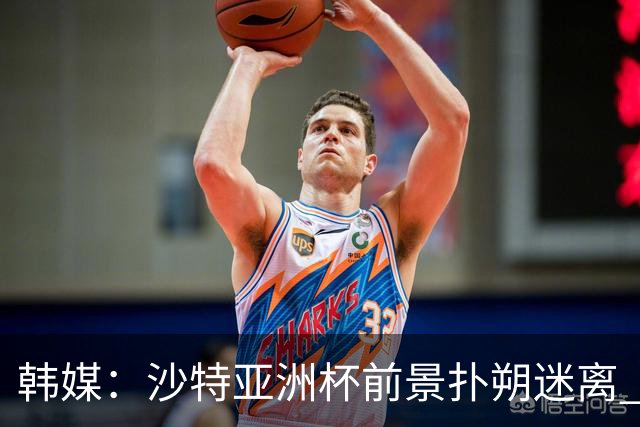 韩媒：沙特亚洲杯前景扑朔迷离 澳大利亚有意接手