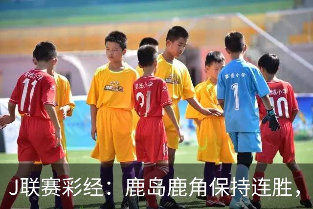 J联赛彩经：鹿岛鹿角保持连胜，柏太阳神取胜堪忧！